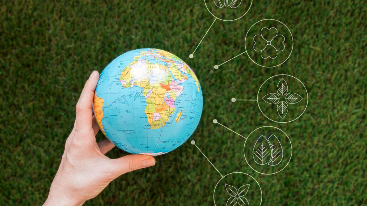 Sustentabilidade e Meio Ambiente
